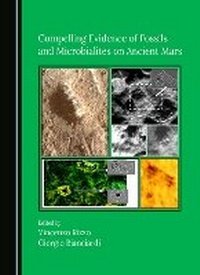 Abbildung von: Compelling Evidence of Fossils and Microbialites on Ancient Mars - Cambridge Scholars Publishing
