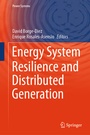 Cover: Energy System Resilience and Distributed Generation - Springer