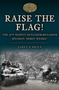 Cover: Raise the Flag! - Amberley Publishing