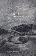 Cover: Stranger Within - Blair H. Smith