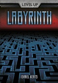 Cover: Labyrinth - Lerner Publishing Group