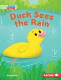 Cover: Duck Sees the Rain - Lerner Publishing Group