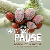 Enlarge image Cover: Wait, Rest, Pause - Lerner Publishing Group
