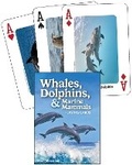 Cover: Whales, Dolphins, & Marine Mammals Playing Cards - Adventure Publications, Incorporated