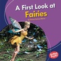 Cover: First Look at Fairies - Lerner Publishing Group