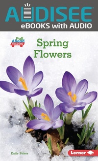 Enlarge image Cover: Spring Flowers - Lerner Publishing Group