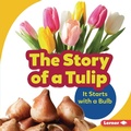 Cover: Story of a Tulip - Lerner Publishing Group