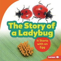 Enlarge image Cover: Story of a Ladybug - Lerner Publishing Group