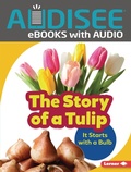 Cover: Story of a Tulip - Lerner Publishing Group