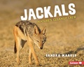 Cover: Jackals - Lerner Publishing Group