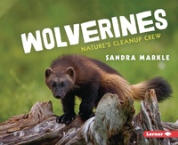 Enlarge image Cover: Wolverines - Lerner Publishing Group