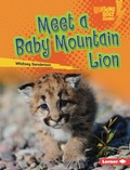 Cover: Meet a Baby Mountain Lion - Lerner Publishing Group