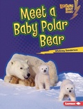 Cover: Meet a Baby Polar Bear - Lerner Publishing Group