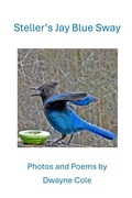 Cover: Steller's Jay Blue Sway - Parson's Porch