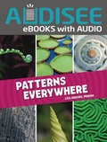 Cover: Patterns Everywhere - Lerner Publishing Group