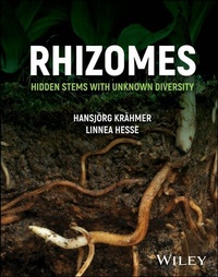Abbildung von: Rhizomes - Wiley