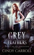 Cover: Grey Feathers - Hanlon Creek Press