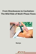 Cover: From Shockwaves to Cavitation: The Wild Ride of Multi-Phase Flows - tredition