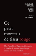 Cover: Ce petit morceau de tissu rouge - Michalon