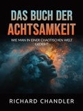 Cover: Das buch der Achtsamkeit (&Uuml;bersetzt) - Stargatebook