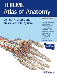 Abbildung von: General Anatomy and Musculoskeletal System (THIEME Atlas of Anatomy) - Thieme Publishers