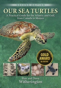 Abbildung von: Our Sea Turtles - Globe Pequot
