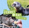 Cover: Is a Ferret or a Rat the Pet for Me? - Raintree