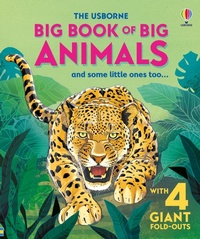 Enlarge image Cover: Big Book of Big Animals - Usborne Publishing Ltd