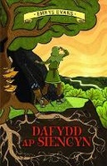 Cover: Dafydd ap Siencyn - Llygad Gwalch Cyf