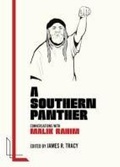 Cover: A Southern Panther - AK Press