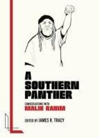 Enlarge image Cover: A Southern Panther - AK Press