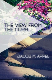 Enlarge image Cover: The View from the Curb - Unsolicited Press