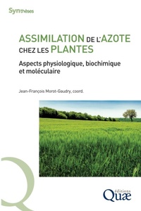 Abbildung von: Assimilation de l'azote chez les plantes - Quae