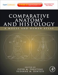 Abbildung von: Comparative Anatomy and Histology - Academic Press