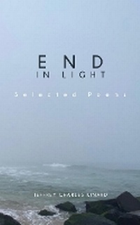Enlarge image Cover: End In Light - Jeffrey C Kinard