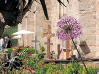 Abbildung von: Ansichtskarte Bad Sooden-Allendorf:Bibelgarten St. Crucis-Kirche - Frühauf, Buchhandlung, Inh. Wolfgang Frühauf e.K.
