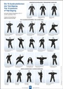 Bild: Die 15 Ausdrucksformen des Taiji Qigong Poster - mgo fachverlage