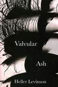 Cover: Valvular Ash - Black Widow Press