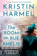 Cover: The Room on Rue Amelie - Mountain Leopard Press