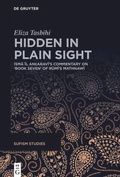 Cover: Hidden in Plain Sight - De Gruyter
