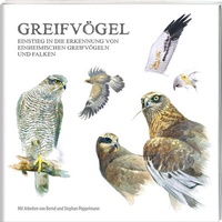 Abbildung von: Greifvögel - Tecklenborg, B
