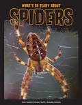 Cover: What's So Scary about Spiders? - Red Chair Press