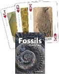 Cover: Fossils Playing Cards - Adventure Publications, Incorporated