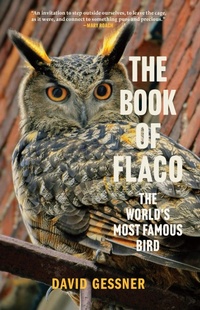 Abbildung von: The Book of Flaco - Blair
