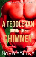 Cover: A Tedoleran down the Chimney - Black Umbrella Publishing