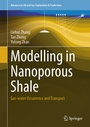 Cover: Modelling in Nanoporous Shale - Springer
