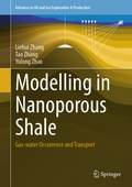 Cover: Modelling in Nanoporous Shale - Springer