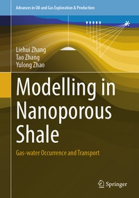 Enlarge image Cover: Modelling in Nanoporous Shale - Springer