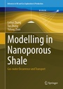 Cover: Modelling in Nanoporous Shale - Springer