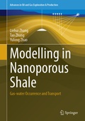 Cover: Modelling in Nanoporous Shale - Springer